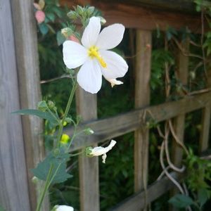 Meet your Posher, Marcus